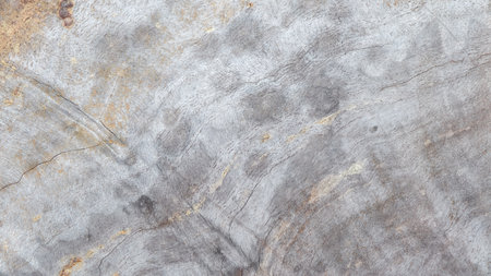 wood background and texture, old wood pattern, wood raw materialの写真素材