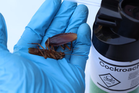scientific experiments with Cockroach in the laboratory and chemical kill Cockroach productの写真素材