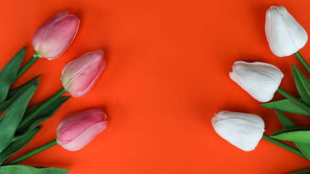 plastic flower for decoration, flowers on the background and free spaceの写真素材