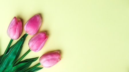plastic flower for decoration, flowers on the background and free spaceの写真素材
