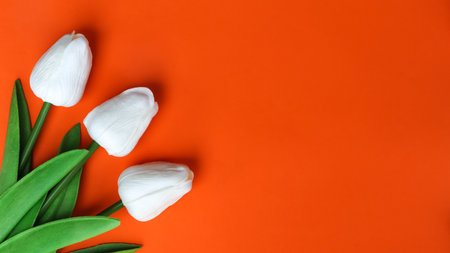 plastic flower for decoration, flowers on the background and free spaceの写真素材