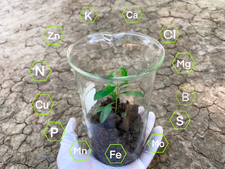 Chemical fertilizers and nutrients that plants need, Soil and plant research
