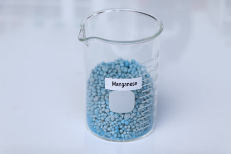 Manganese fertilizer, Experimenting with chemical fertilizers for agriculture, scientific experimentの写真素材