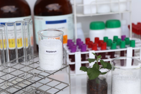 Molybdenum fertilizer, Experimenting with chemical fertilizers for agriculture, scientific experimentの写真素材