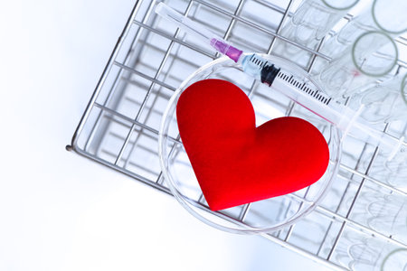 Red cloth heart with the concept of love and healthの写真素材