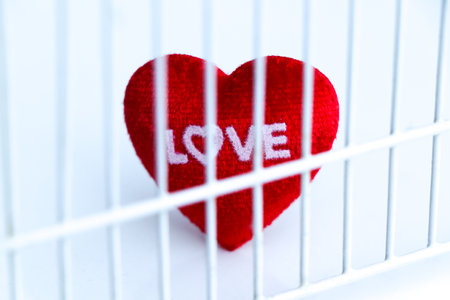 Red heart locked in a cage and white background, separation conceptの写真素材