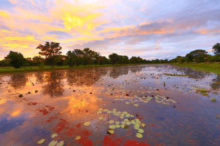 sunset on the tropical riverの写真素材