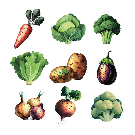 Vegetables set. Cabbage, beet, eggplant, carrot, cauliflower, eggplant, broccoli. Vector illustrationのイラスト素材