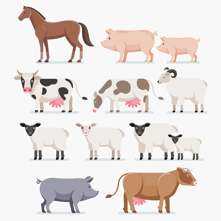 Animal farm set. The horse pig cow goat and sheep. Vector illustration flat design.のイラスト素材