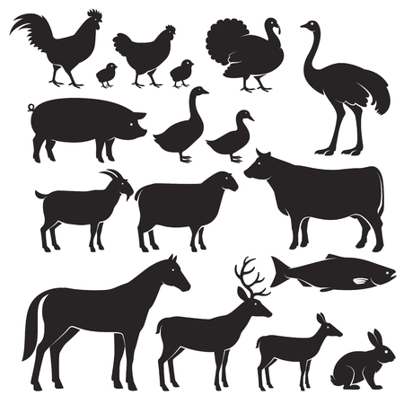 Farm animals silhouette icons. Vector illustrationsのイラスト素材