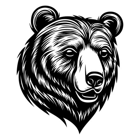 bear head symbol illustrationのイラスト素材