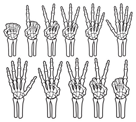 Skeleton bone hand counting number of fingers sign illustrations