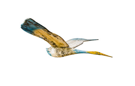 Birds made of wood isolated on white backgroundの写真素材