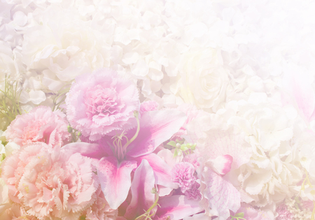 rose flower and floral soft blur background in pastel tones.の写真素材