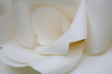 close-up Paper roll and white sheet similar flowers texture. Abstract backgroundの写真素材