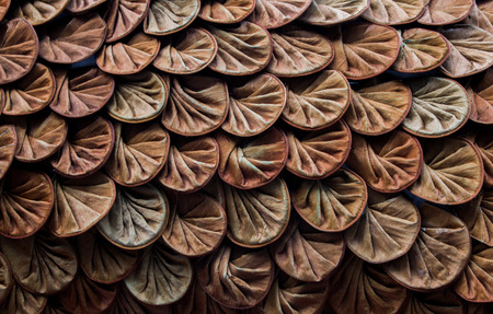 soft focus Dry leaves background, Dried leaves Overlap ,texture. Abstract backgroundの写真素材