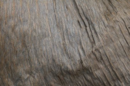 Close-up Detail of a Dry leaf  texture Abstract background