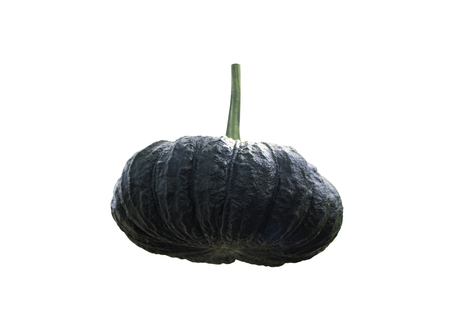 Green pumpkin in garden isolated on white backgroundの写真素材