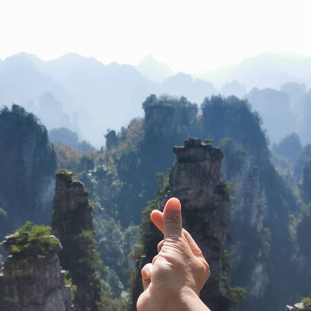 Mini Hart hand symbol In order to love nature , sign languageの写真素材