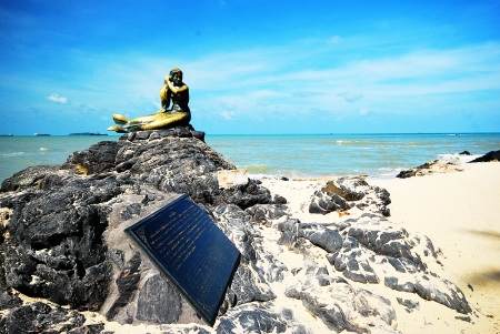 sea,space for review or wall paperの写真素材