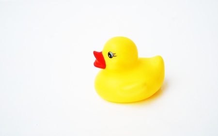 Yellow rubber duck on White Backgroundの写真素材