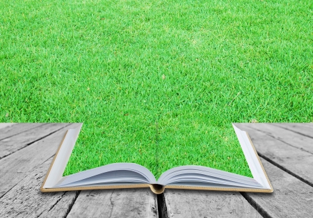 Open book on green grass backgroundの写真素材