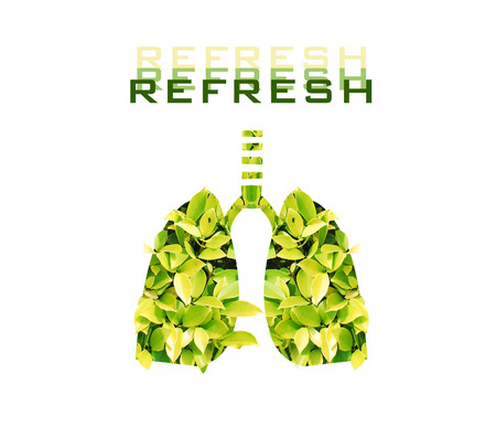 Green Lungs on white background,refresh concept.の写真素材
