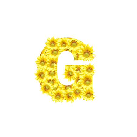 Sunflowers with alphabet letter Gの写真素材