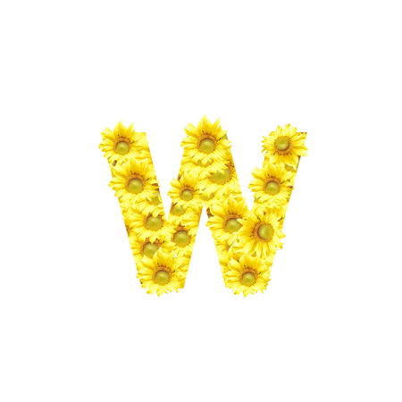 Sunflowers with alphabet letter Wの写真素材