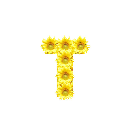Sunflowers with alphabet letter Tの写真素材