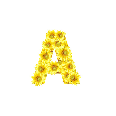 Sunflowers with alphabet letter Aの写真素材