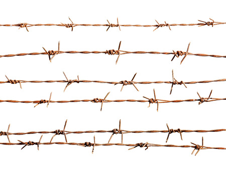 Rusty barbed wire on white backgroundの写真素材