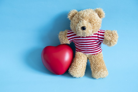 Little teddy bear , a valentine's gift for lover isolated on light blue backgroundの写真素材