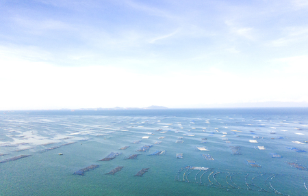 Aerial view of sea beach backgroundの写真素材
