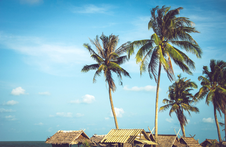 Coconut trees on the beach with vintage toneの写真素材