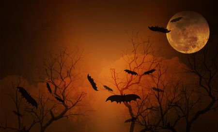 Full moon with Halloween backgroundの写真素材