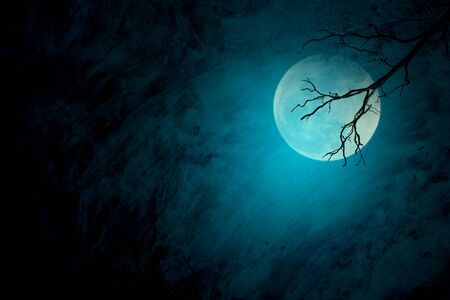 Full moon with blue Halloween night backgroundの写真素材