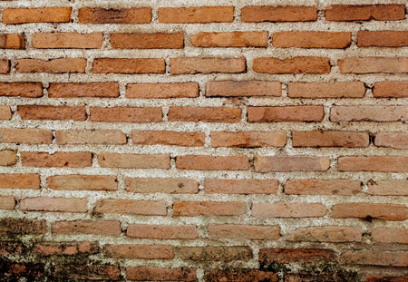 Close up of grunge wall background for architecture design