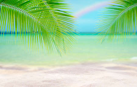 Coconut tree leaf on the tropical beach with space for text , summer,holiday, vacation weekend or relax ,summer mid year sale conceptの写真素材