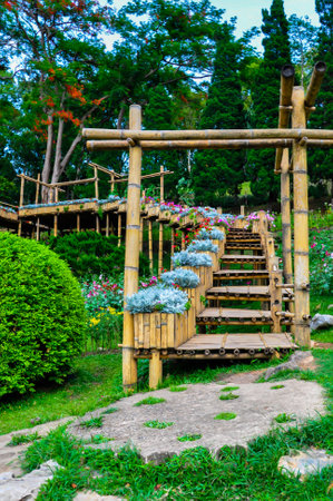 The beauty of the gardens and beautiful flowers.の写真素材