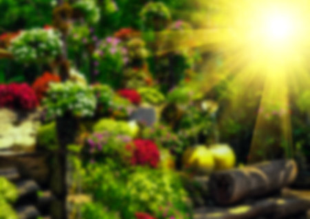 Abstract blur and soft background, out of focus colorful natureの写真素材