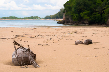 Desiccated Coconut on Beach with seascape backgroundの写真素材