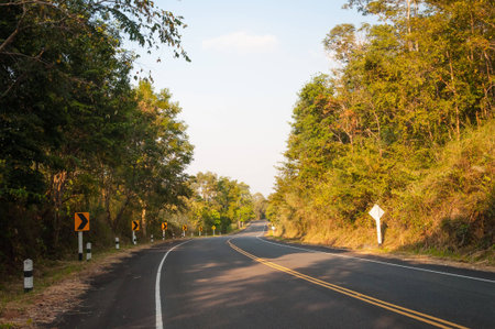 Landscape of Country Road with Naturally, both sides.