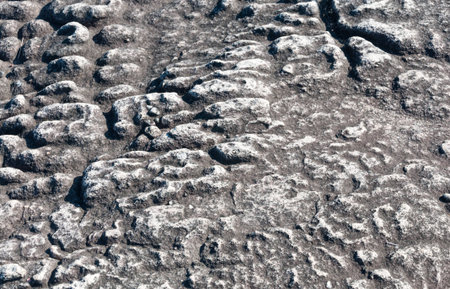 Texture pattern surface of natural stone background
