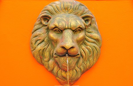 Lion blow waterの写真素材