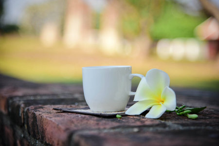 Coffee in the tea cupの素材