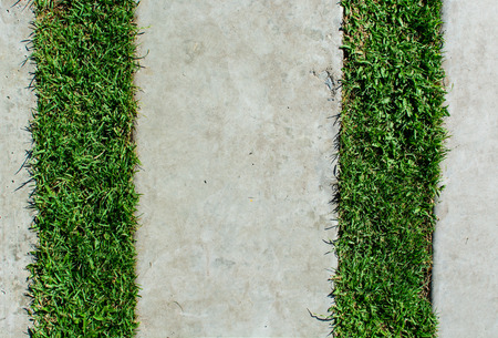 Stone block walk path in the park with green grassの写真素材