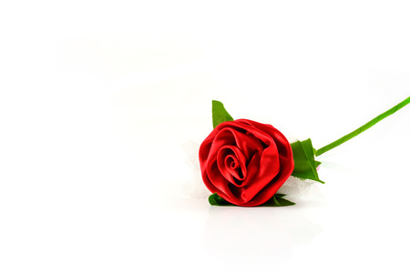 Single beautiful red rose isolated on white backgroundの写真素材