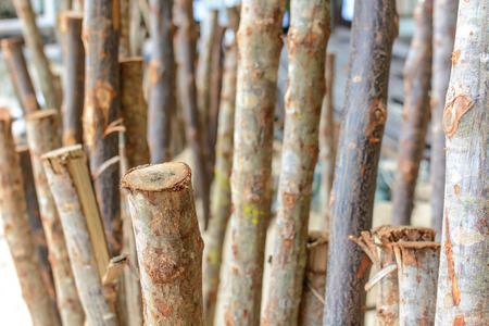 close up of wood fenceの写真素材