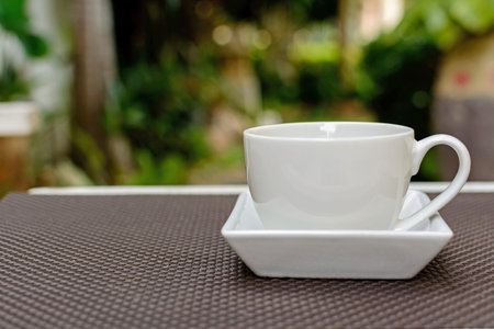 Close up cup of coffee in the gardenの写真素材